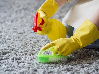 The best Upholstery cleaning Brisbane - Ezydry