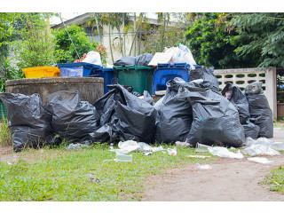 Eco-Friendly Junk Removal South Surrey