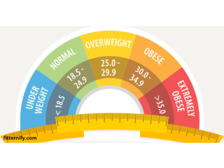 Track Your Health with the Body BMI Calculator Get Results Fast