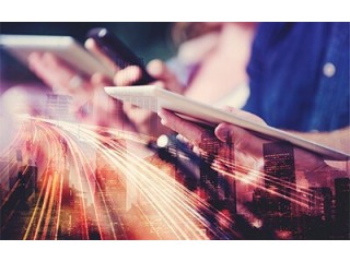 Hire Expert Mobile App Developers in India | TechIngenious