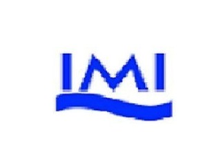 Diploma In Marine Engineering - International Maritime Institute