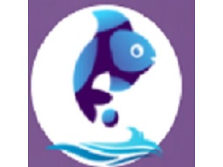 E-Commerce Development Services - Fish Eye Advertising