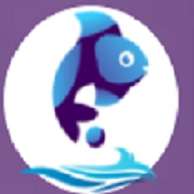 e-commerce-development-services-fish-eye-advertising-big-0