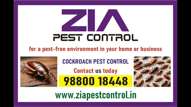 cockroach-treatment-just-rs-600-only-residence-apartments-1906-big-0