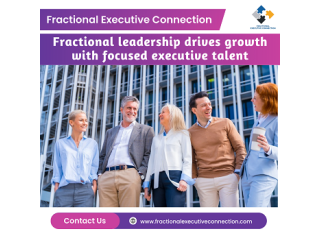 Fractional leadership: business success through expert strategy